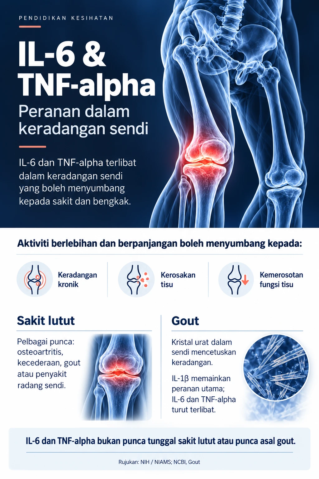 Infografik pendidikan kesihatan: peranan IL-6 dan TNF-alpha dalam keradangan sendi, sakit lutut dan gout
